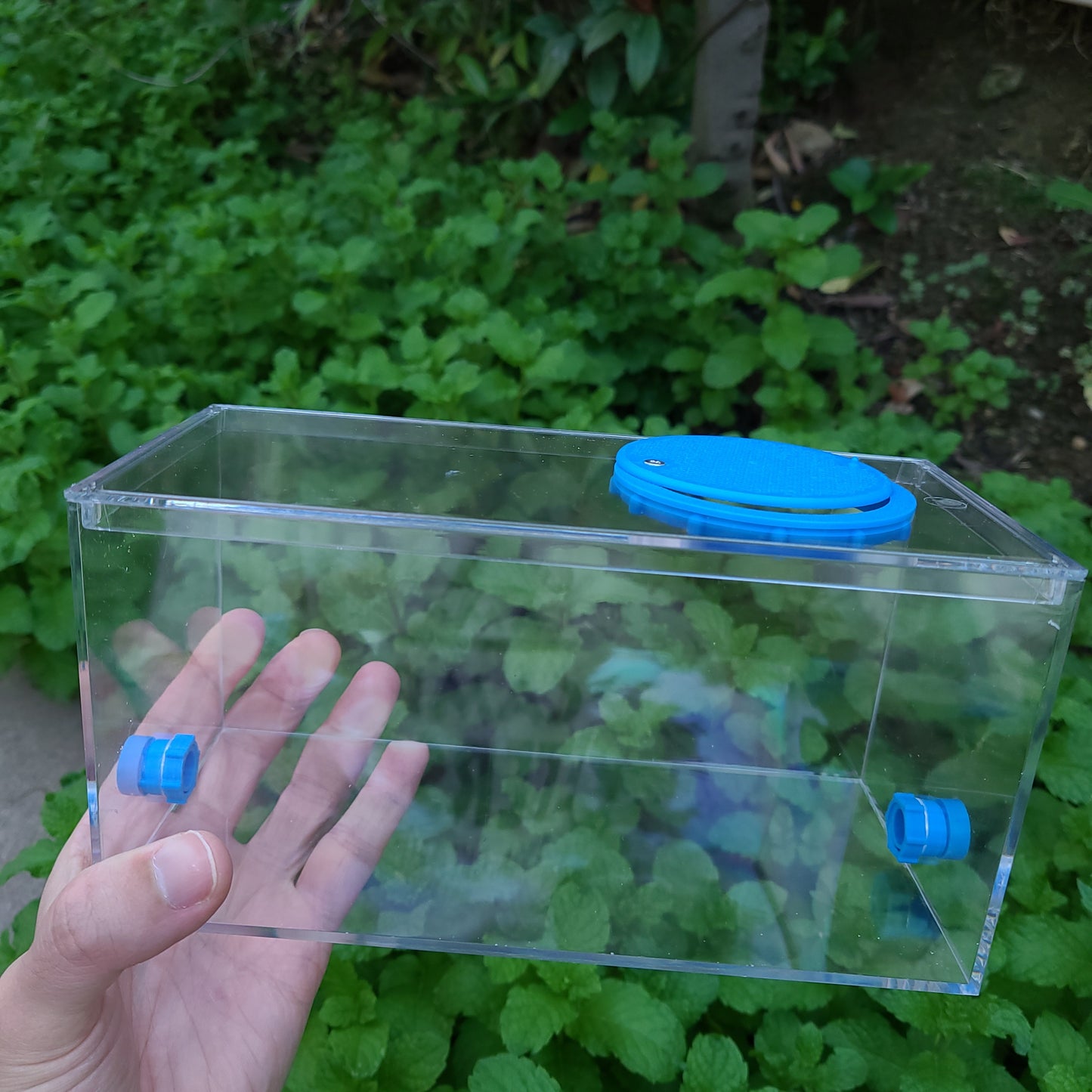 Ant Lab Enclosure