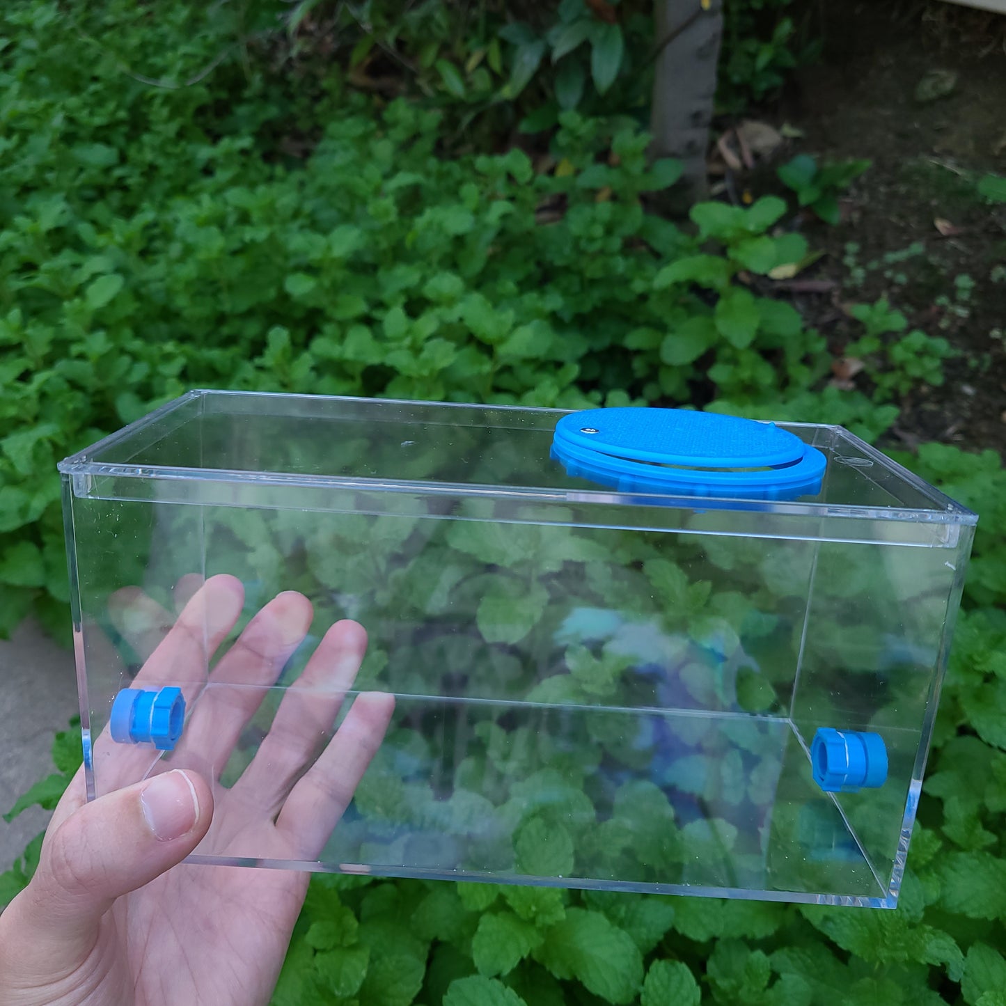 Ant Lab Enclosure