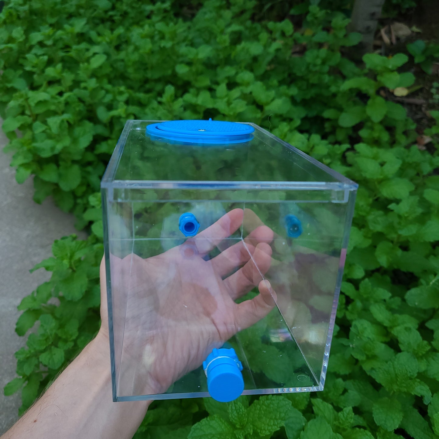 Ant Lab Enclosure