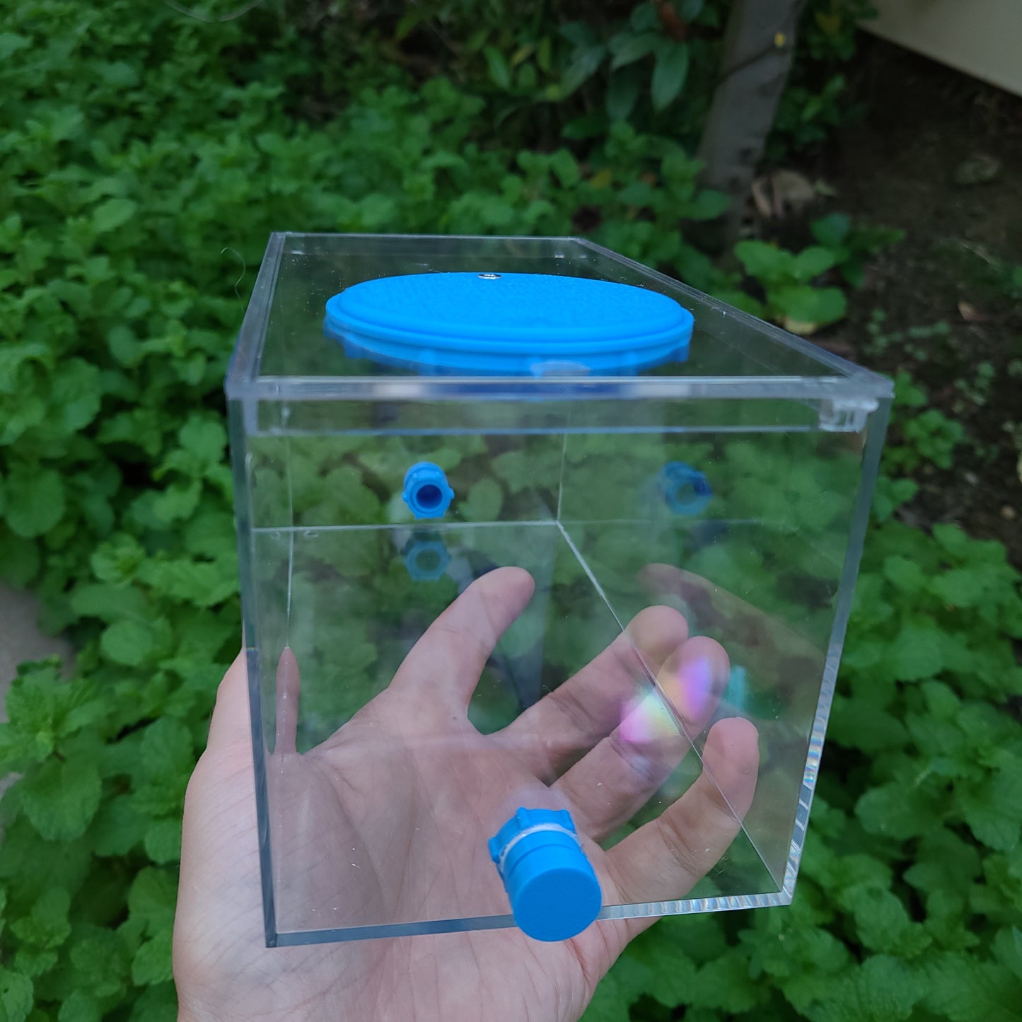 Ant Lab Enclosure