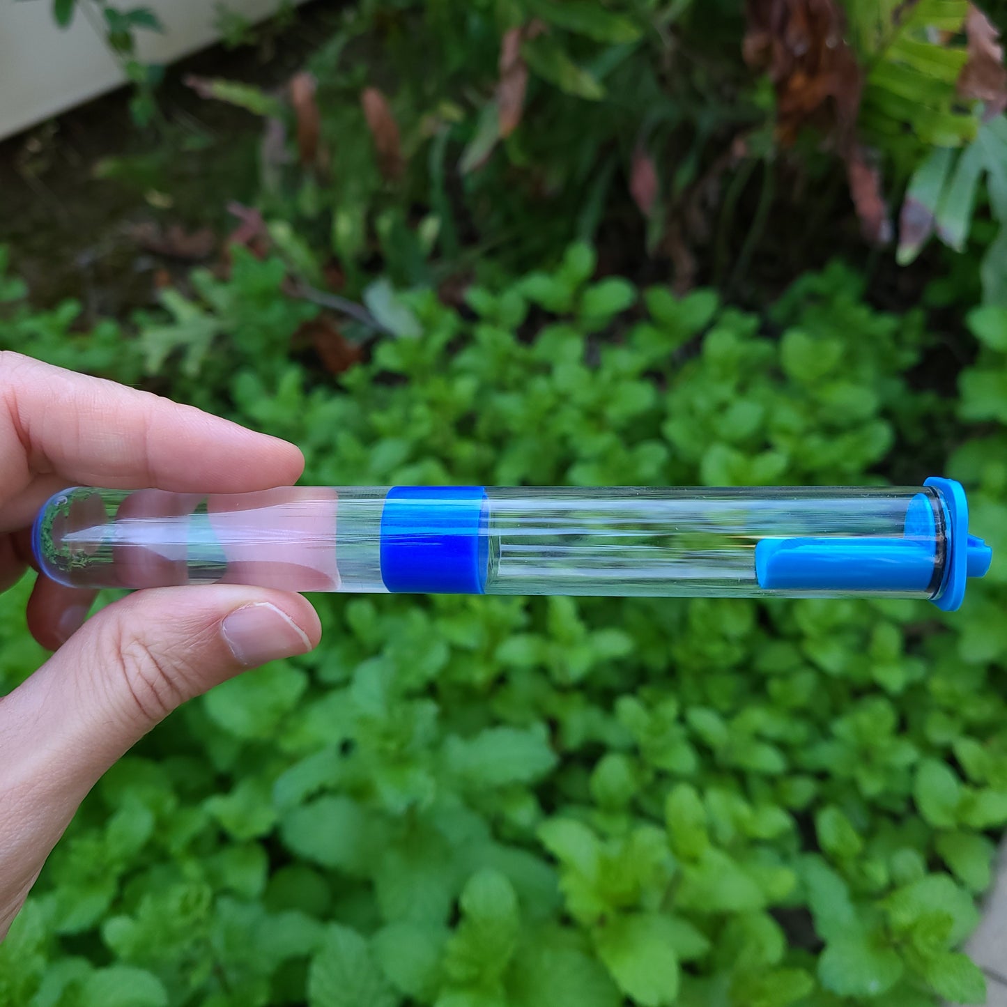 Ant Bite Test Tube Feeders (18mm)