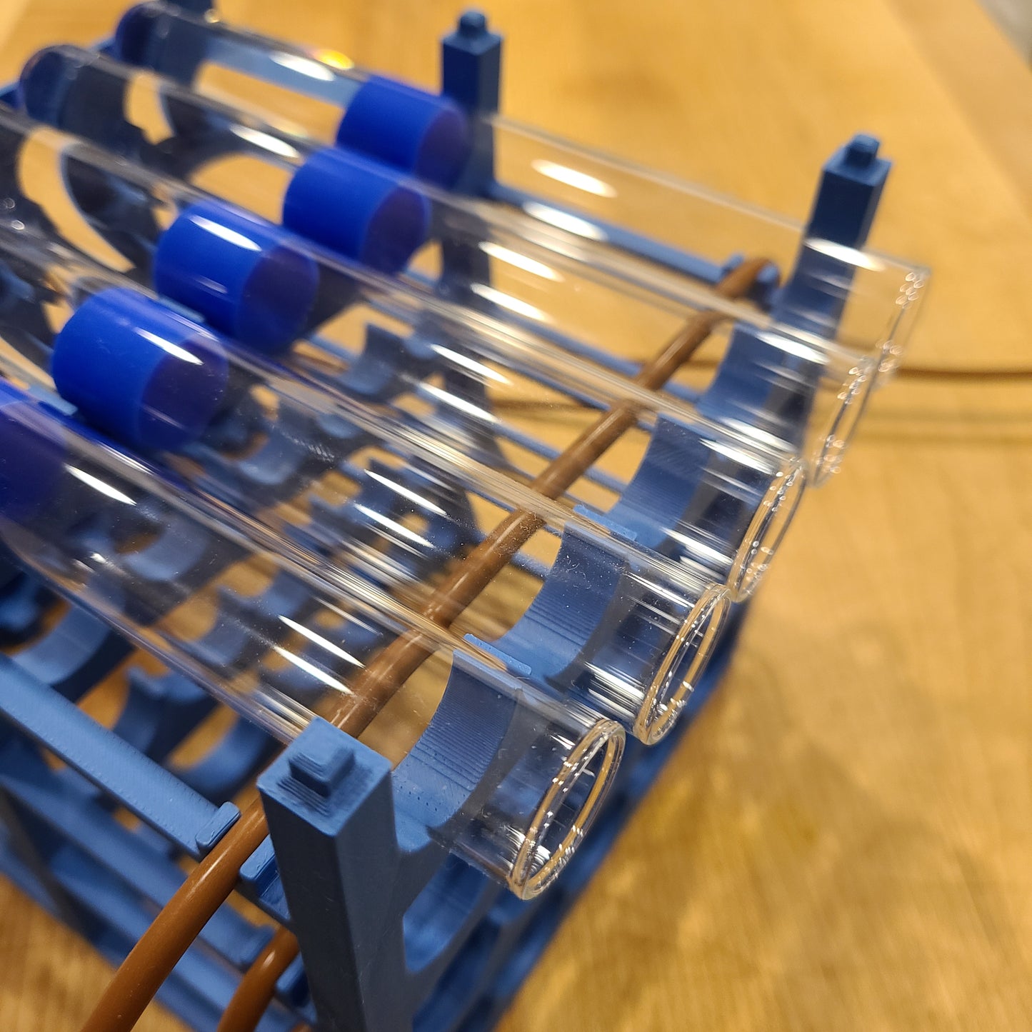 Ant Colony Test Tube Rack