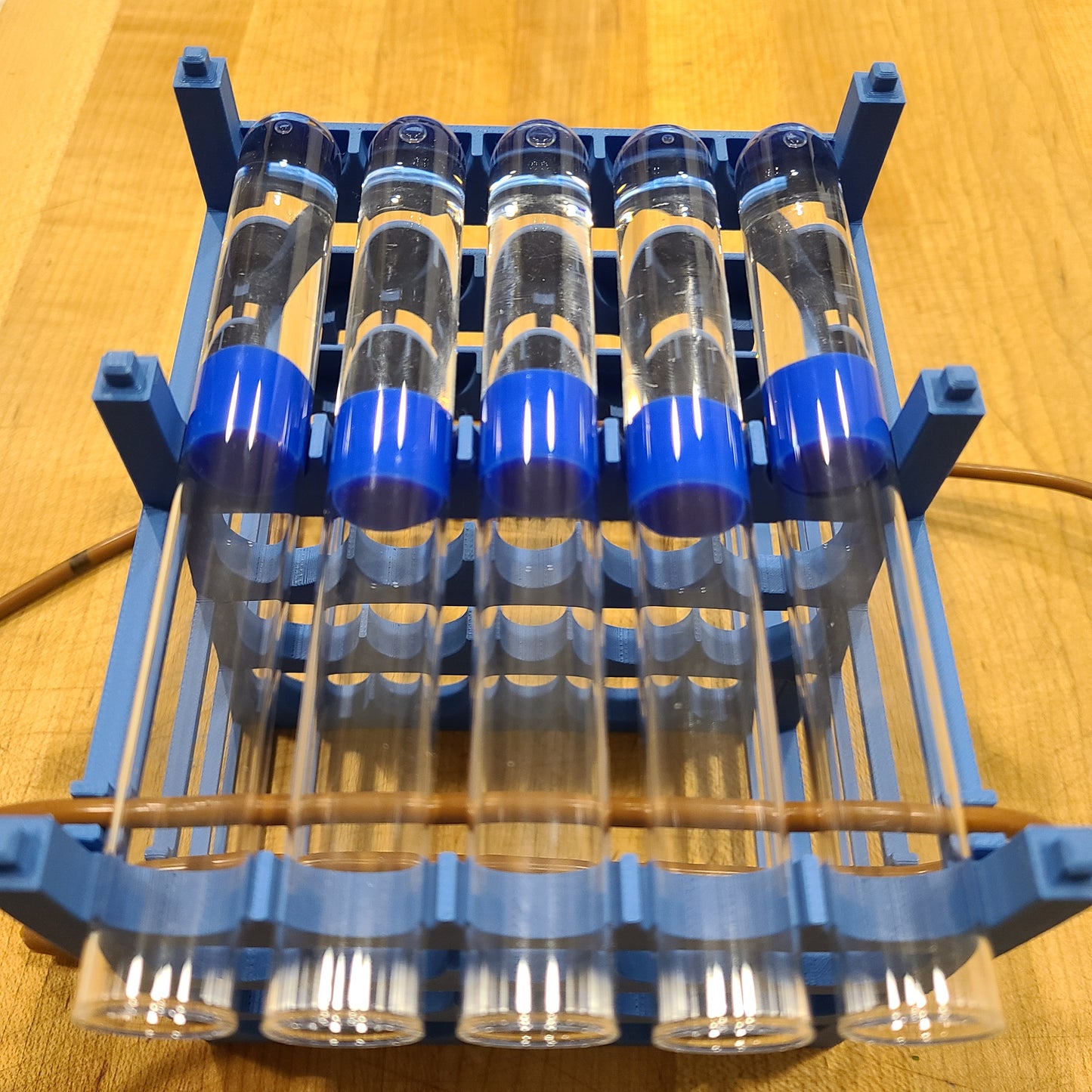 Ant Colony Test Tube Rack