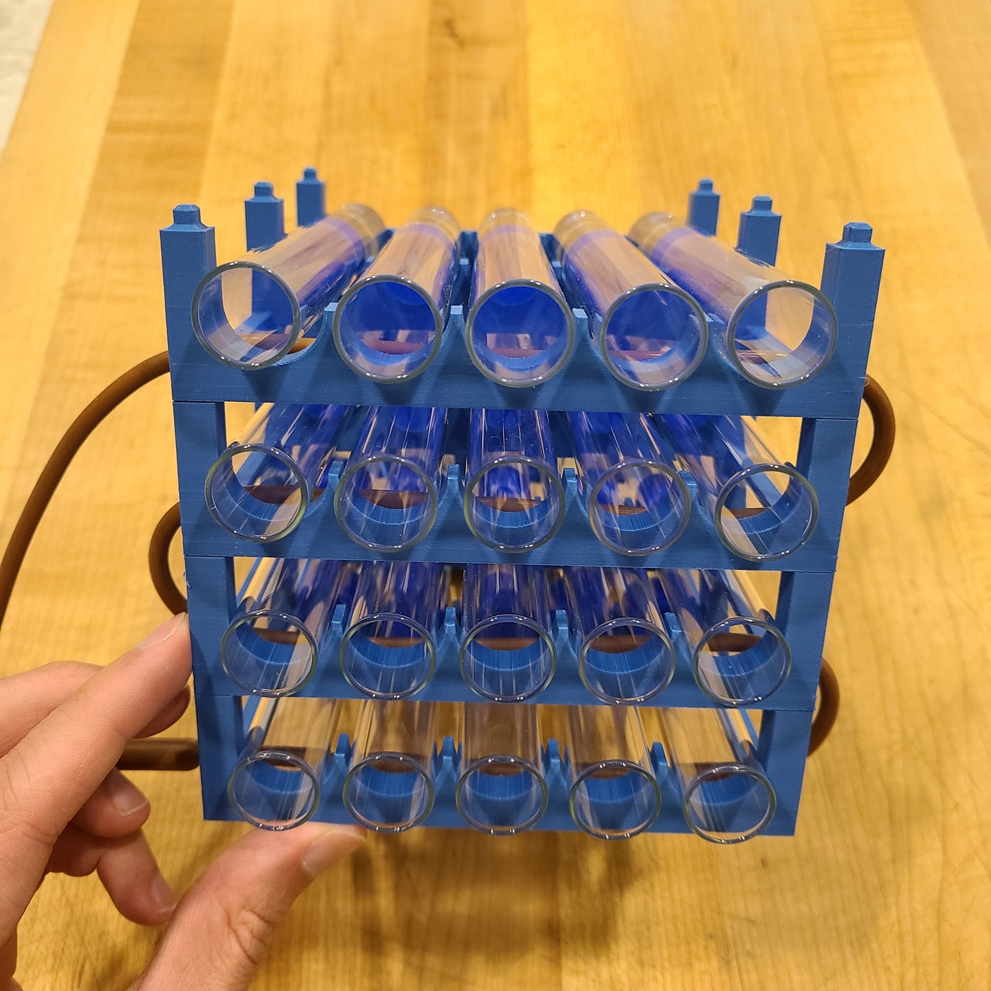 Ant Colony Test Tube Rack