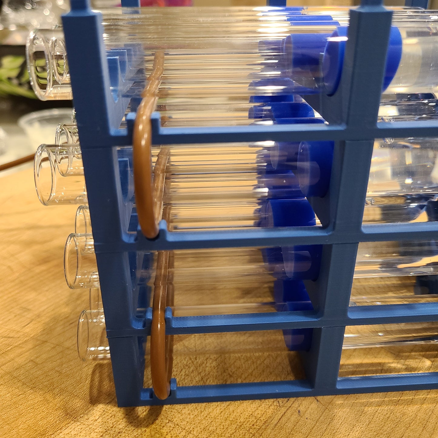 Ant Colony Test Tube Rack