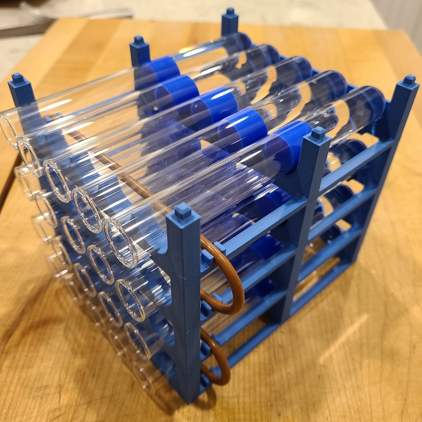 Ant Colony Test Tube Rack