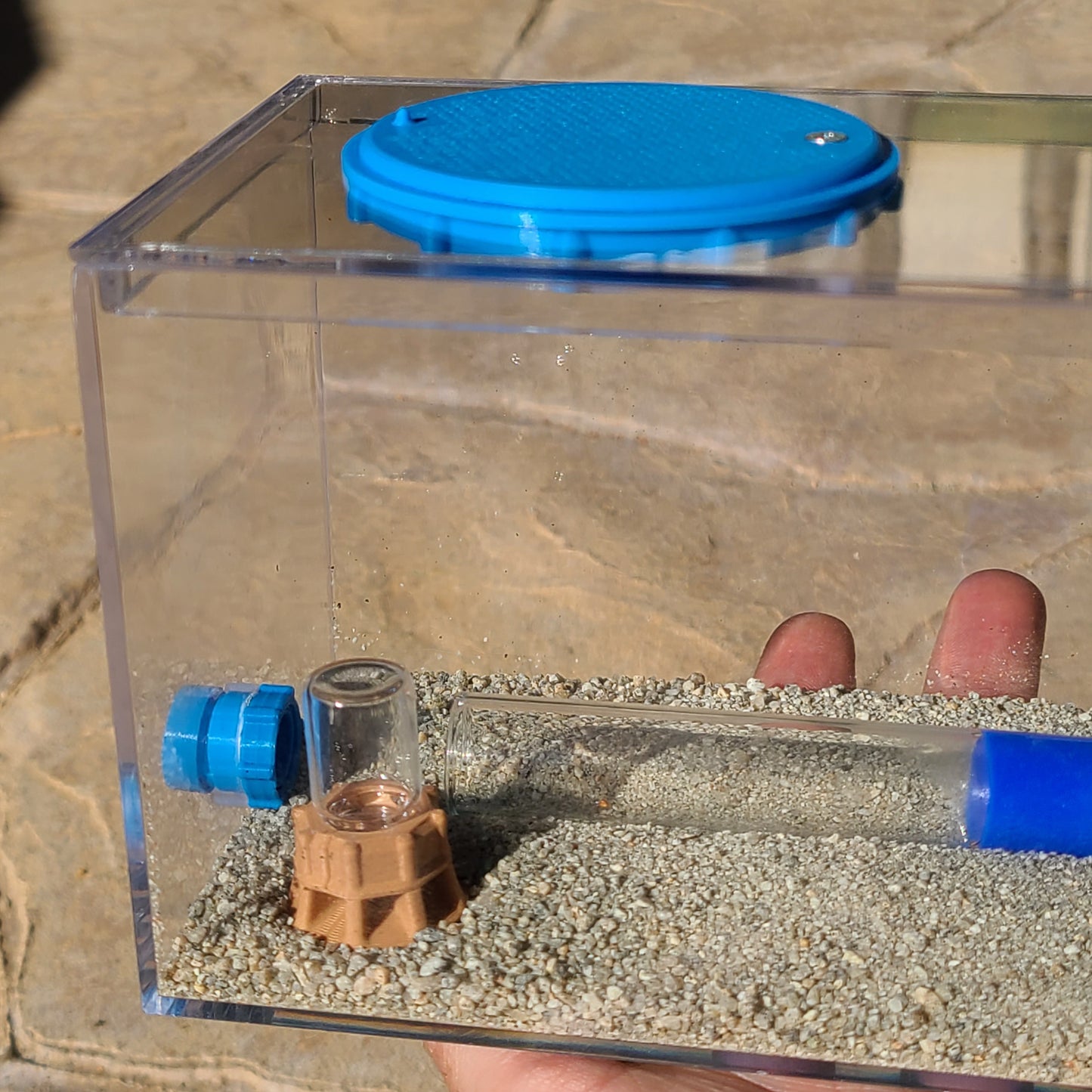 Ant Lab Enclosure