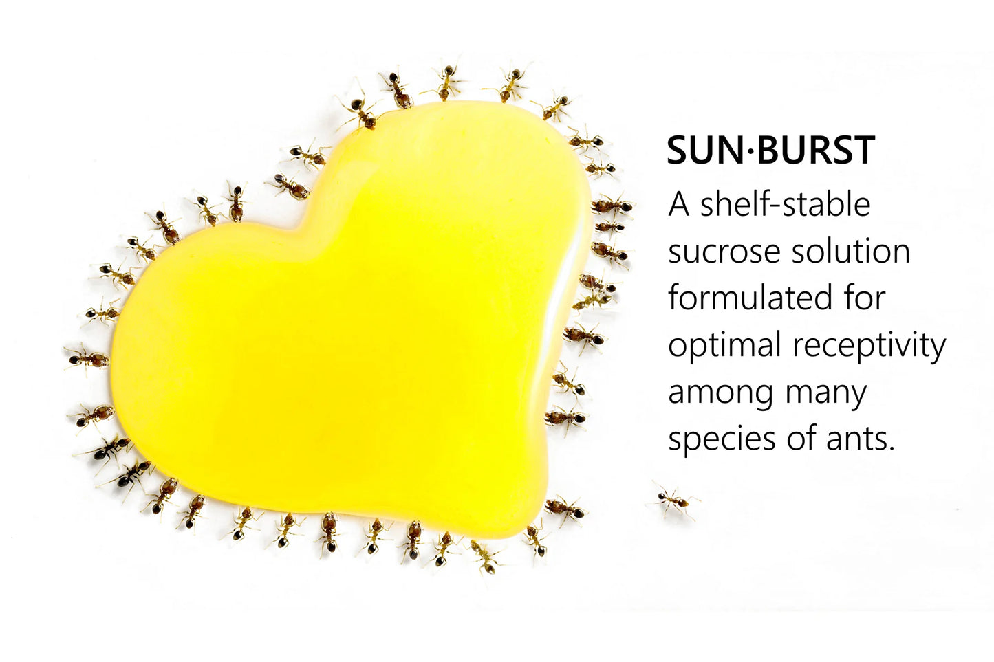 byFormica Sunburst Nectar 60mL